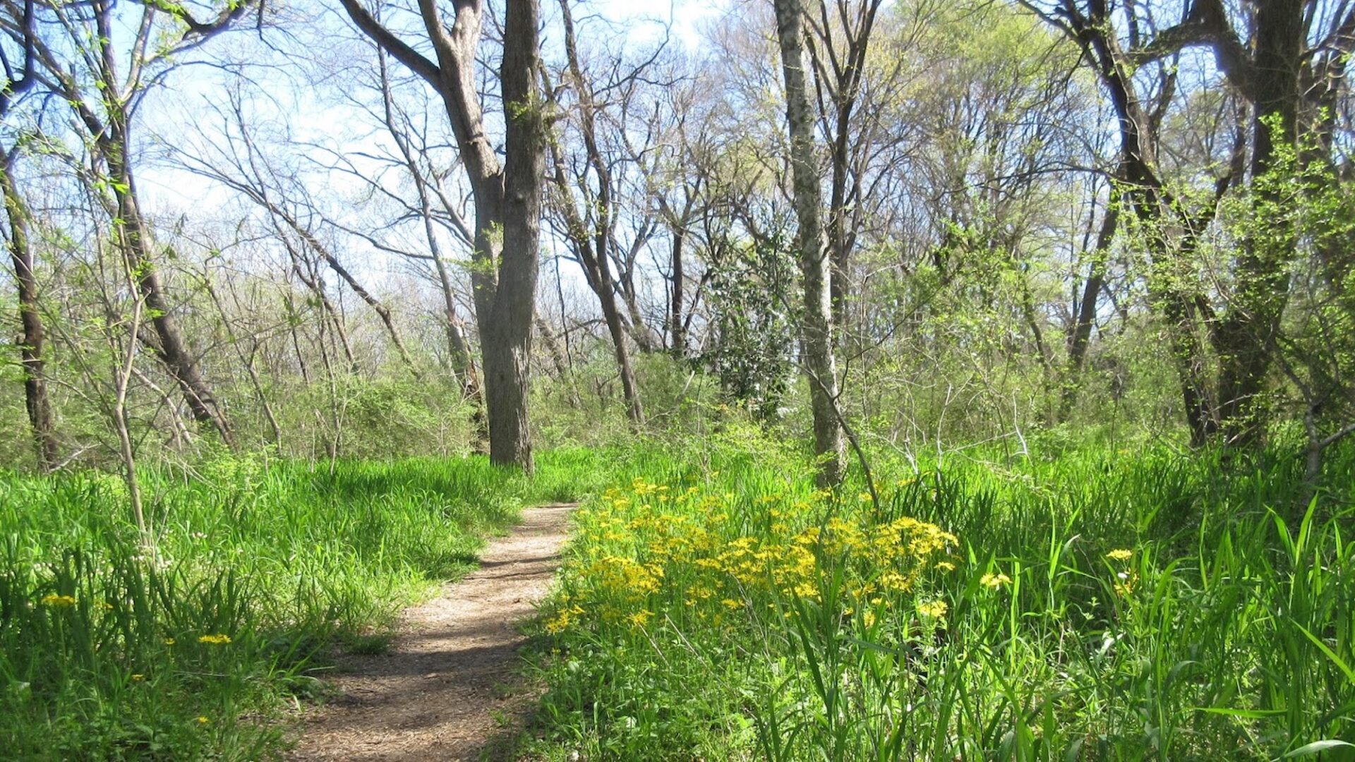 rowlett nature trail